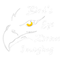 Bird's Eye Drone Imaging